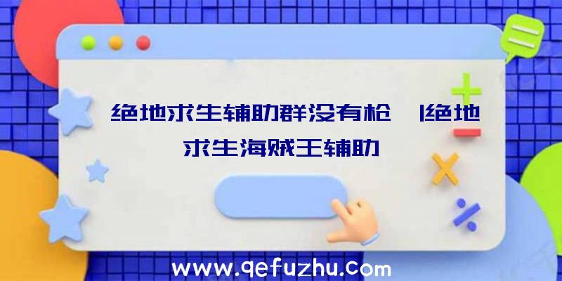 「绝地求生辅助群没有枪」|绝地求生海贼王辅助
